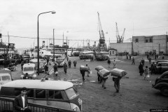 guras_SIRKECI_1965