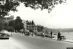 sazanhayko_5411_Bebek