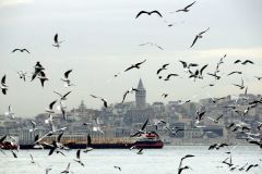 martilar-istanbul-bogazi