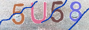 CAPTCHA (Şahıs Denetim Kodu) Resmi