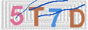 CAPTCHA (Şahıs Denetim Kodu) Resmi