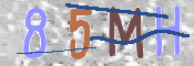 CAPTCHA (Şahıs Denetim Kodu) Resmi