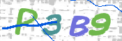 CAPTCHA (Şahıs Denetim Kodu) Resmi