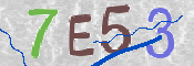 CAPTCHA (Şahıs Denetim Kodu) Resmi