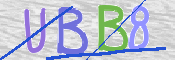 CAPTCHA (Şahıs Denetim Kodu) Resmi