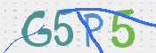 CAPTCHA (Şahıs Denetim Kodu) Resmi
