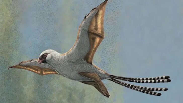 Filmlere inanmayın: Dinozorlar başarılı uçucular değildiler