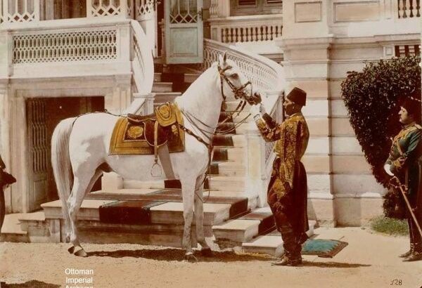 Sultan II. Abdülhamid’in Beyaz Küheylanı; Ferhan