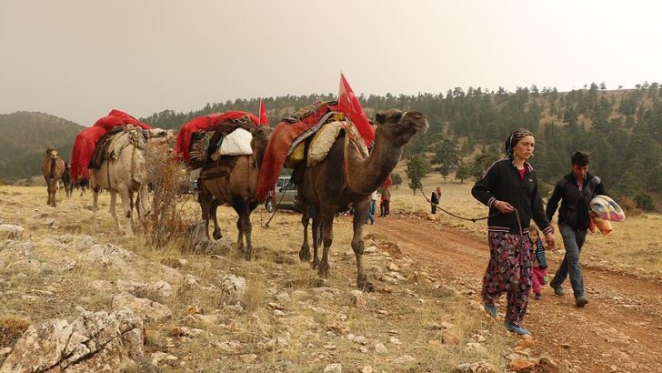 Toroslarda dumanı tüten kara çadırın son sahipleri: Sarıkeçili Yörükleri